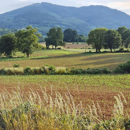 La Figal De Xugabolos, Salas (Asturias)