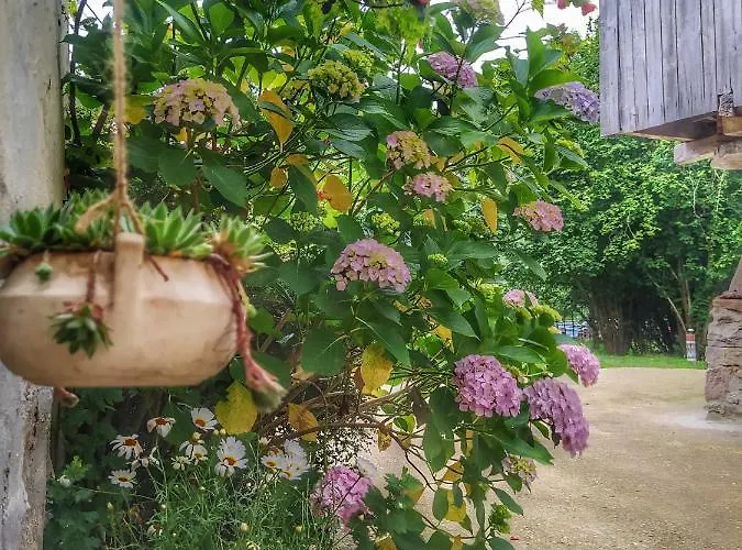 Hotel La Figal De Xugabolos, 3*