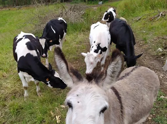 La Figal De Xugabolos, Hotel